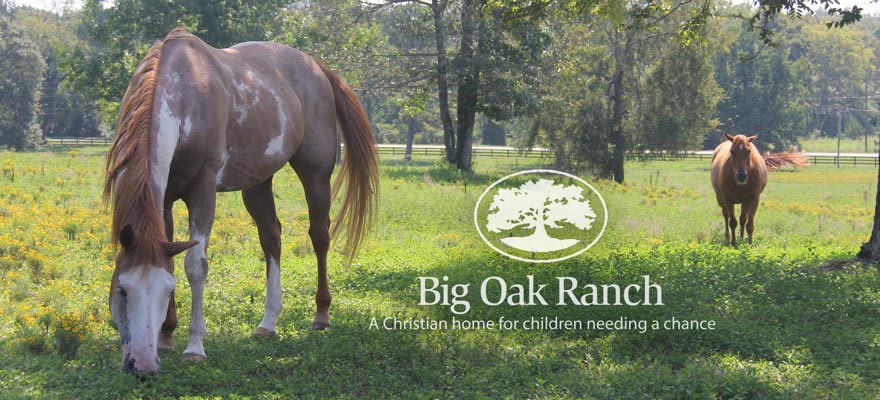 SEC 360: Former Alabama QB Brodie Croyle impacting souls at Big Oak Ranch